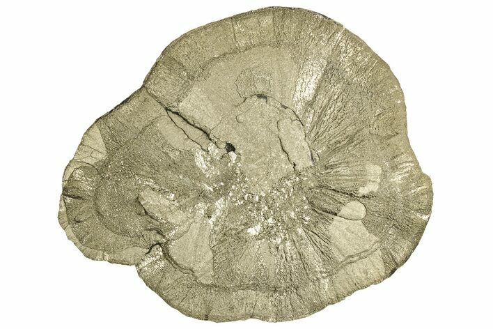 Pyrite Sun - Sparta, Illinois #315878